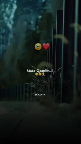 Repost taabo sxb👏🥰 #abwaan #hadraawi #fristvideo #lyricsedit #viewschallenge 