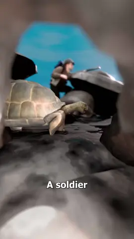 This Soldier Rescued A Tortoise In Battle 😮