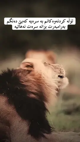 #وتە #foryou #وتەیەکی_جوان_بنوسن🙃💔 #wtay_jwan📝 #وتەی_جوان 