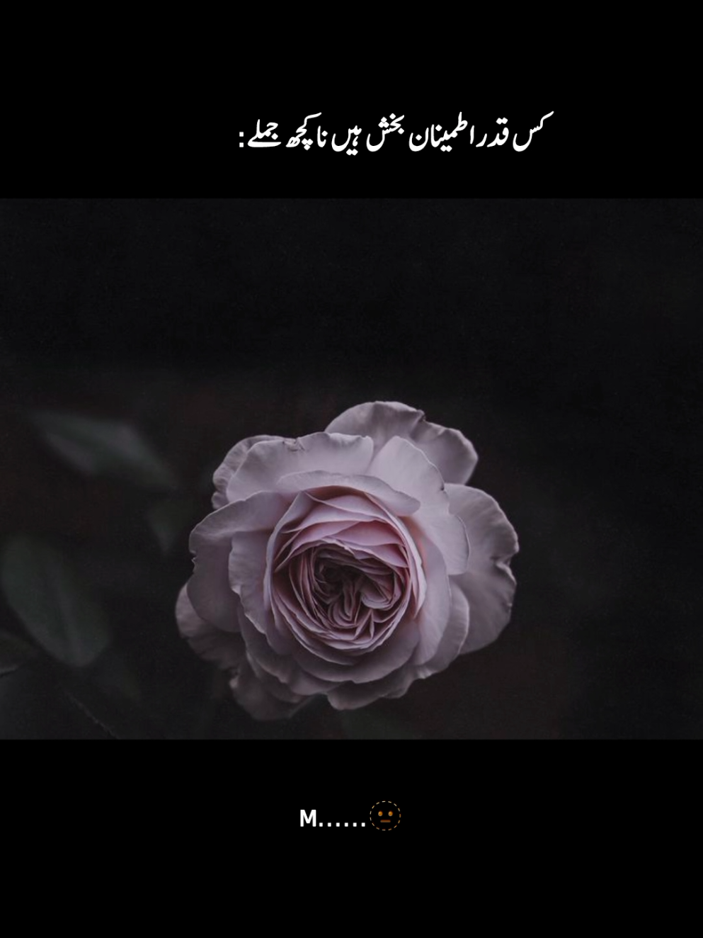 اللّٰہ سنبھال لے گا۔۔۔💫 . . . . . . . . . . . . . #foryou #foryoupage #aesthetics #aesthetic #fyppppppppppppppppppppppp 
