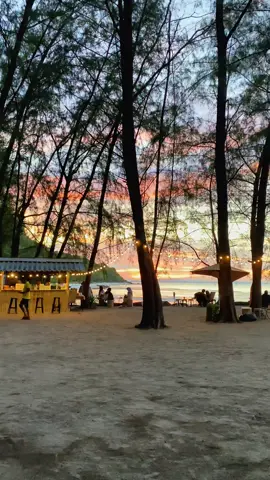 มาดูพระอาทิตย์ตกกันมั้ย 🌞⛅️🌅 #คาเฟ่ลับๆริมทะเล #คาเฟ่ #หาดสะกอม #fyp #CUPPABLISS 