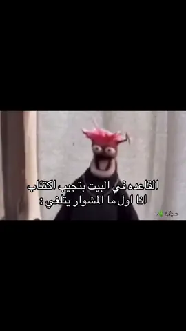 #صَبارة🌵 #ميمز #رياكشن #explore #fyppppppppppppppppppppppp 
