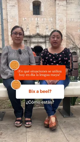 Descubre por qué la lengua maya de Yucatán sigue viva y es tan importante hoy en día 🇲🇽🗣️ #LenguaMaya #MayaYucateco #LenguasIndígenas #IndigenousLanguages #Maya 