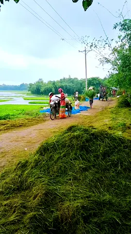 #বাড়াদির বিল🥰🥰🥰🥰🥰🥰👍#