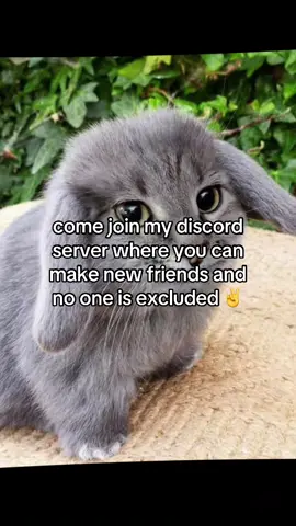join with the link in the comments!!! #targetaudience #discord #discordserver #friends #friendgroup 