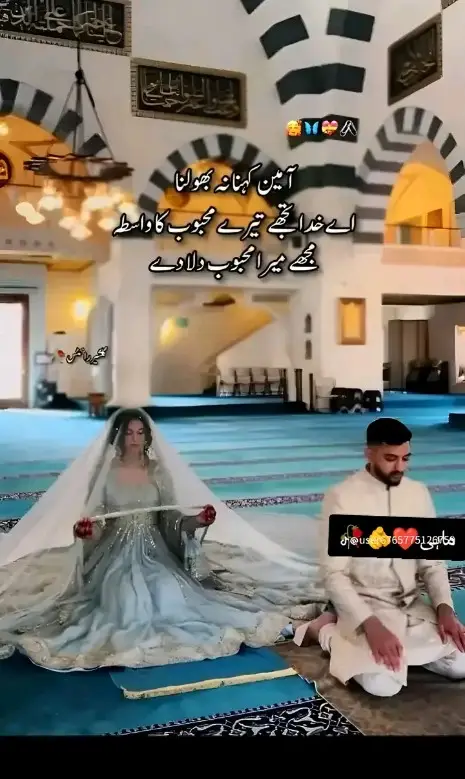 #sab Ameen bola.......💞💕❤️❤️❤️❤️❤️❤️❤️🥰🥰🥰🥰🥰🥰😊😊😊😊😊🦋🦋😍😍😍😍😍😊😊☺️💜🖤💜☺️💜☺️☺️☺️❤️❤️💕💕💞💞😍😍😊😊🦋🦋🦋👻👻👻👻👻🥰🥰🥰👻🥰🥰🥰👻🥰🤭🤭👈🏻👈🏻👈🏻👈🏻 ......... .... ... .. .
