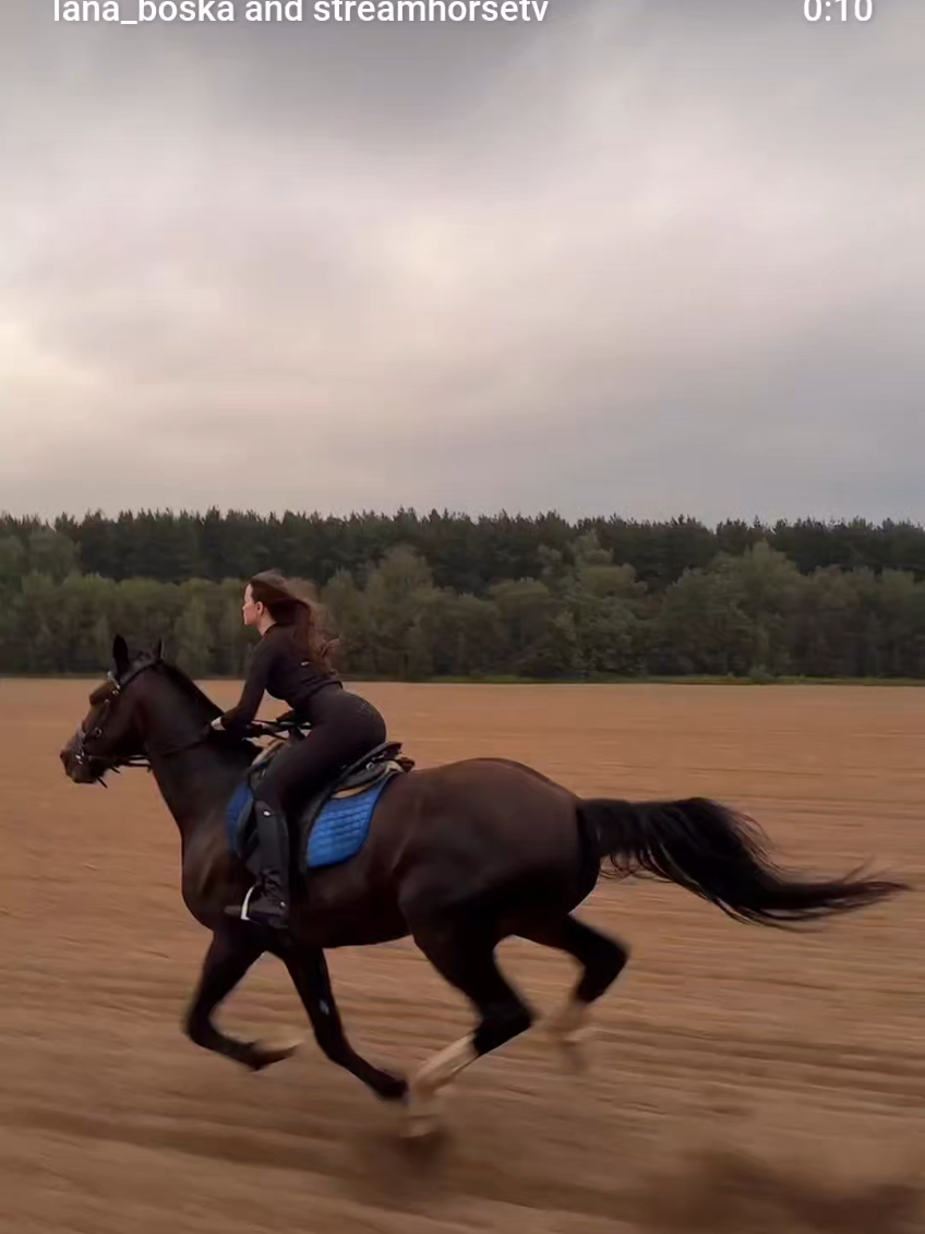 weekend rides 🏇 🥰🎥 @lana_boska #horselife #horseworld #horselover #horsriding #sunsetandhorses 