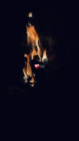 #fypシ #fyp #fypシ゚ 