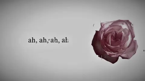 Salvatore rock version Lana del rey brat lyrics #lanadelrey #lyrics #neilanmusic #lyricsvideo #salvatore  ah ah ah ah cacciatore my song my lyrics