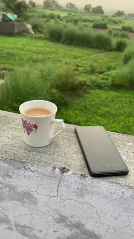 زندگی چائے کی طرح ابل رہی ہے مگر ہم بھی ہر گھونٹ کامزہ شوق سے لے رہے