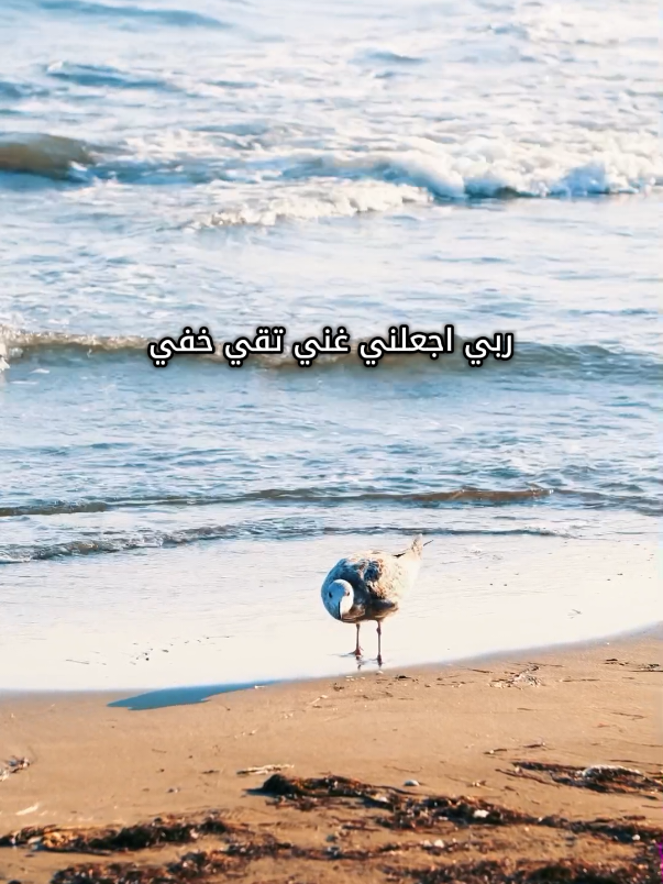 ربي اجعلني غني تقي خفي ❤️‍🩹🫂  #alhamdulileh  #اللهم_صلي_على_نبينا_محمد #اكسبلورexplore❥🕊 #explore #fyp 