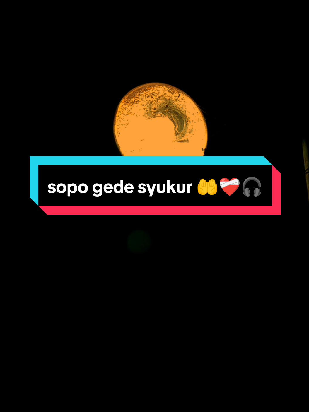 Thibbil Qulub [sopo gede syukur bakal urip makmur]🤲❤️‍🩹🎧 Ustadzah mumpuni FT majelis Gandrung nabi  #syiiranjawa #syukur #sholawat #sholawattrending #soundsholawat 