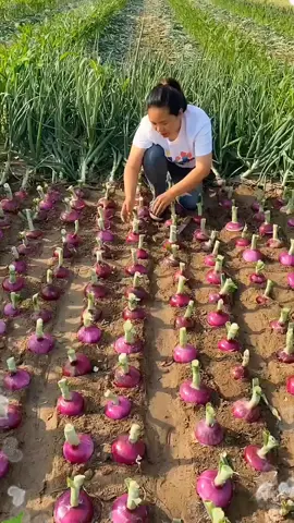 OMG😱🥰💥🔥#fruit #fruits #threefarmers #fyp #asmr #foryou #happy 