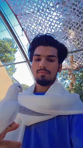 #filmtok #M #fortnite #musica 