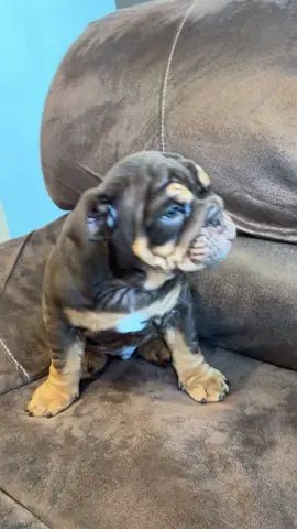 #suerte#para#todos#muchas grasias 