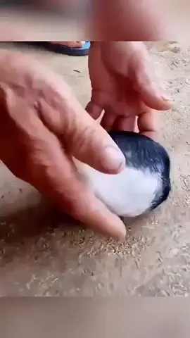 Amorphous Globosus (unpleasant)