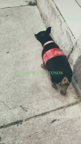 México sub realista core: #ojitosmentirosos #trend #fyppppppppppppppppppppppp #mexicomagico 