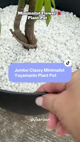 Jumbo Classy Minimalist Yayamanin Plant Pot Garden Pot #plantpot #flowerpot #plantita #plants #nordic 