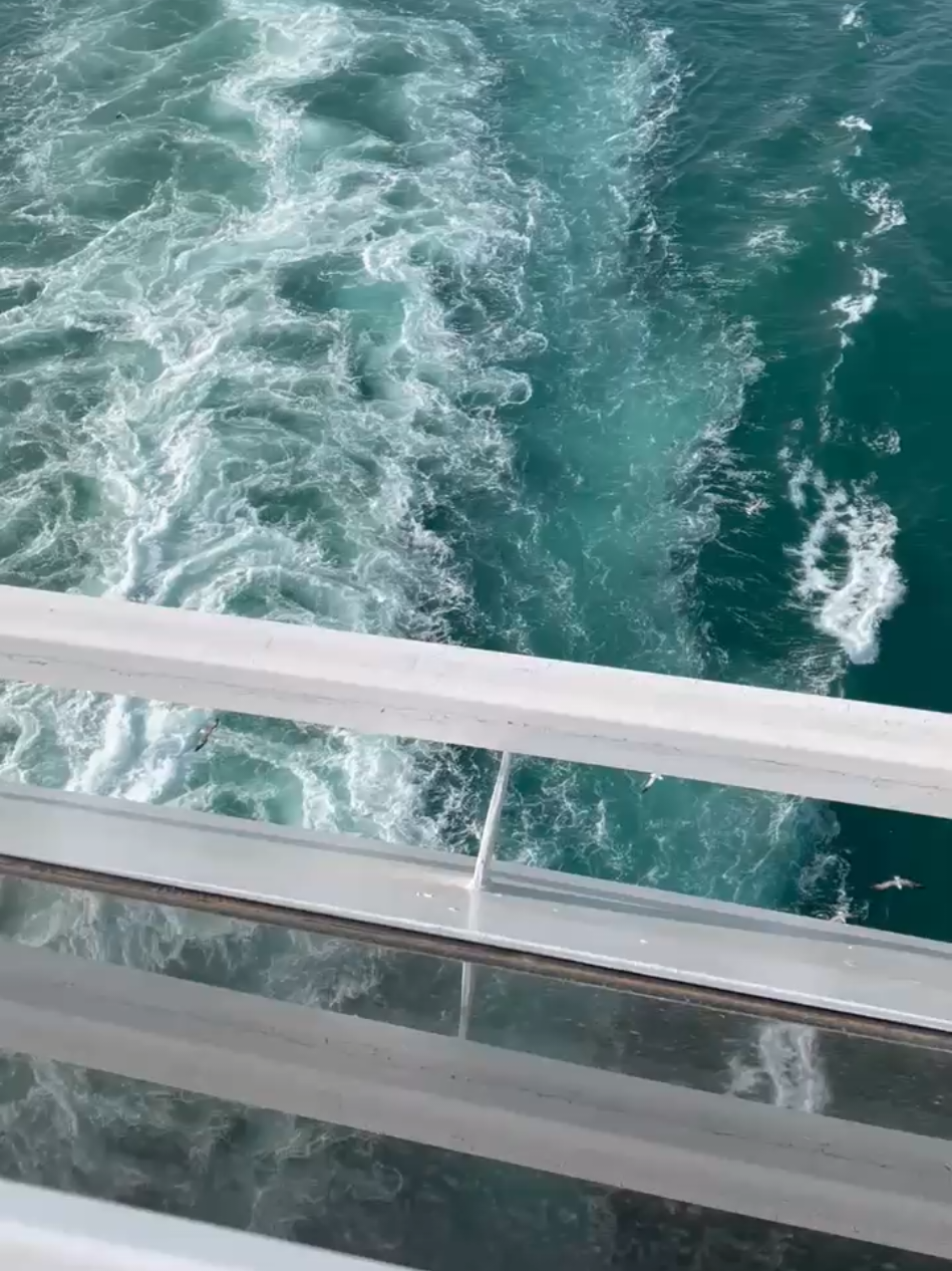 A disfrutar❤️ #cruiselovers #cruise #crucero #costacruceros #costacruceros 