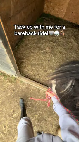 Tack up with me for a bareback ride!🩶🌧️🪵