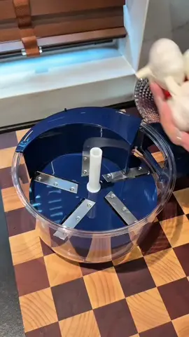 Peel garlic in seconds! 🧄✨️ #KitchenHacks #cookinggadgets #garliclover #creatorsearchinsights 