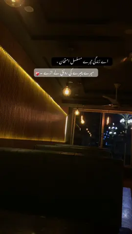 میرے چہرے کی رونق لے اڑے!❤️‍🩹 #foryoupage #poetry #urdulines🥀 #fyp #foryou 