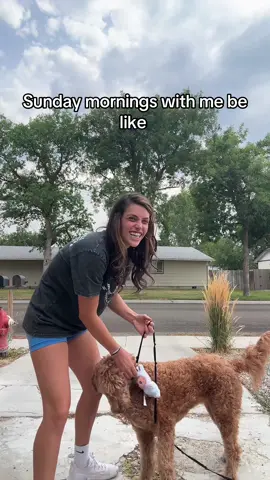 It’s a lafufu #labubu #funny #goldendoodle 