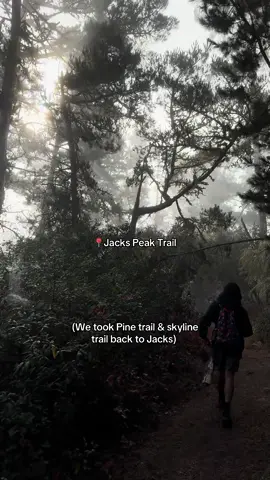 Why is the Bay Area so chilly?? 😅 #foryou #fypシ゚viral #jackspeakcountypark #Hiking #montereybay 