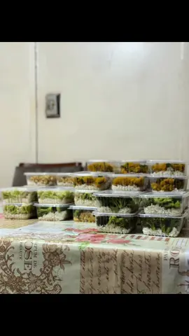 Montando as marmitas fitness para 18 dias. Renderam 36! 😋✨ #rotina #Fitness #marmitasfitness #fyp #foryou 