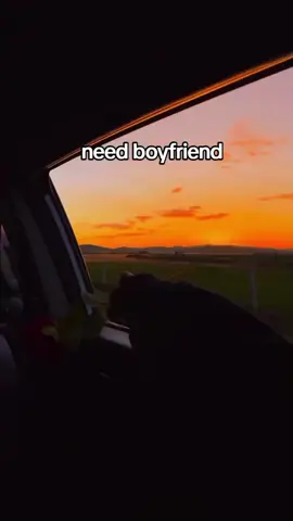 need boyfriend 