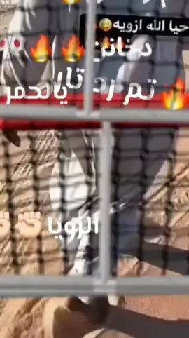 #الكفره_تازربو_اجخره_اجدابيا_بنغازي_طبرق #الكفره_تازربو_اجخره_اجدابيا_بنغازي_طبرق #ازويه🔥🦅 #ازويات_اسياد_الجنوب #الكفره 