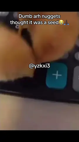Add my snap in bio #yzkxi3 #fy #meme 