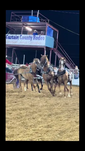 #wildridepro #mccurtaincountyrodeo #wagonraces #letsrodeo #summer2025🌴☀️ @Mallory @MONEY_Mason @JW JR @B Cop 