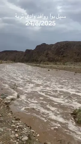#ترند #اكسبلور #الابل_عطايا_الله_عشاق_البداوة_🐪😍 #اجواء_الشتاء_والمطر🌧 #سيول_امطار #اغسطس #امطار_الخير #تربه #وادي_تربة 