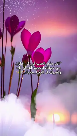 انثر بذور الحب في كل مكان من حولك لتحصد الامان لك ولغيرك فـ ⁧‫الدنيا_محبة‬⁩..🕊️✨