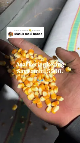 Membalas @🌽Attindink' 