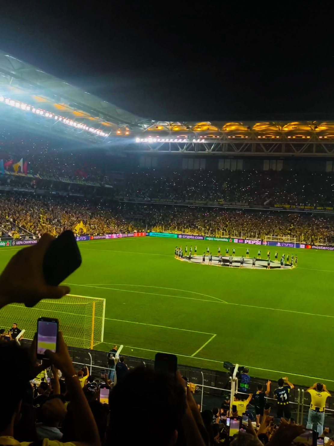 Bizim aşkımız böyle, bizim aşkımız Fenerbahçe💛💙 #fenerbahçe #fenerbahçebenfica 
