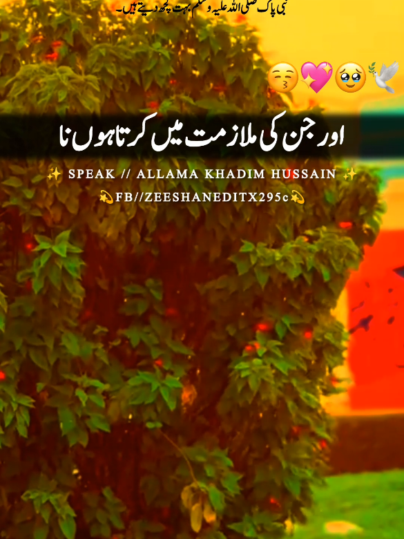 #حضرت_محمد_مصطفی_صل_الله_علیه_وسلم #foruyou #grow #viralvideos #fypシ゚ 