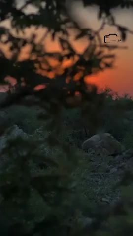 💔#مهدي الساري#موال #طرب #explore #سلام الساعدي