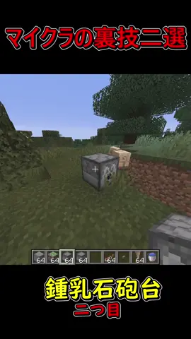 マイクラの裏技2選youtubeもやってます。 #マイクラ #裏技 