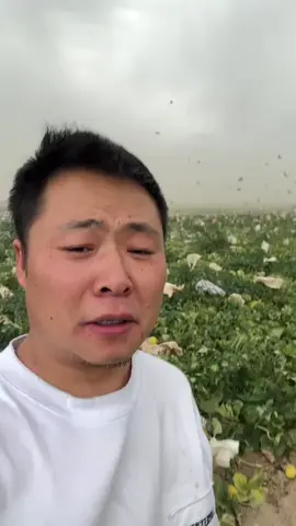 Typhoon Kajiki hits China's Hainan Island #TyphoonKajiki  #Typhoon #Kajiki #Kajiki 