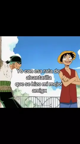 Mi rata de alcantarilla 😍 #paratiiiiiiiiiiiiiiiiiiiiiiiiiiiiiiiiii #Anime #fyp #onepiece #zorororonoa #luffy 