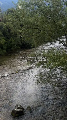 #explore #viral #مالي_خلق_احط_هاشتاقات #fyp 