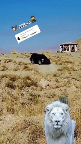 Replying to @alimomand31 #مہمند_دی_لکہ_ستوری_د_آسمان 