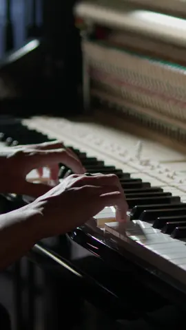 Fragment XIII. A quiet moment for you. Out on all streaming platforms 