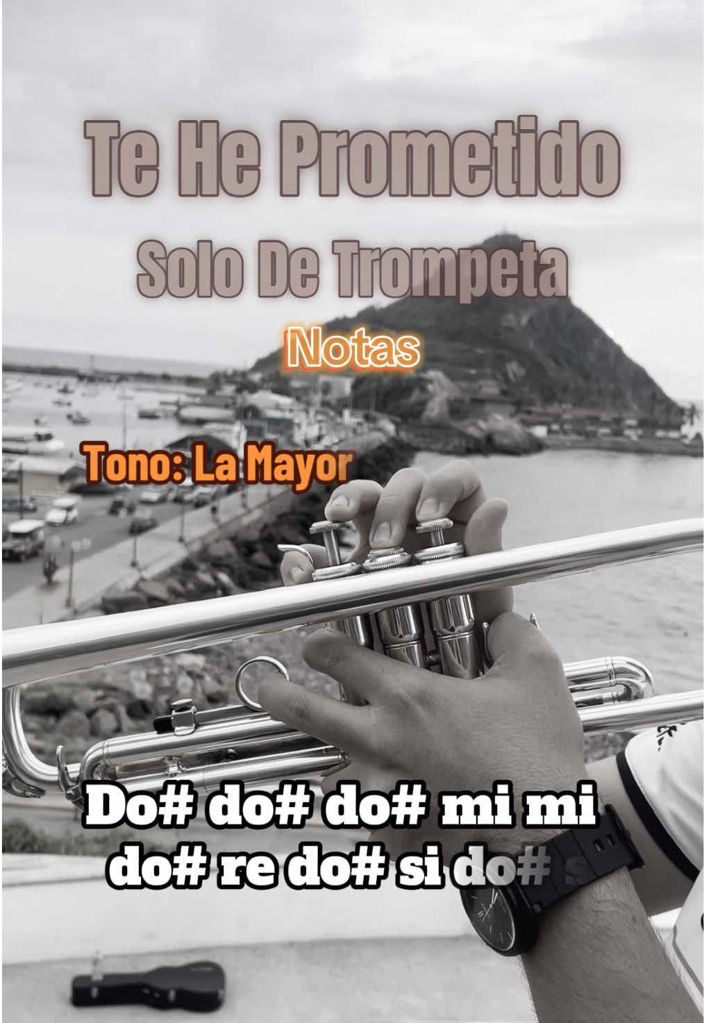 Cómo tocar el de  solo  Te He Prometido en la trompeta - notas - tutorial #teheprometido #solodetrompeta #music #parati #tutorial 