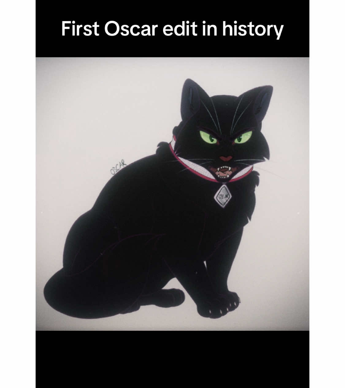 I have never seen a edit of Oscar from Warrior cats, so here it is! @Hamsterslay #waca #warriorcatsfandom #firestarsquest #kittypet #kittypets #warriorcatserinhunter #warriorcat #warriorcats #warriorsbooks #warriorcatserinhunter #erinhunter #erinhunterbooks #riverclan #shadowclan #thunderclan #windclan #starclan #forestcat #skyclan