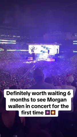 Morgan Wallen definitely knows how to put on a great show!🎸🎵#morganwallen #morganwallenconcert #countryconcert @morganwallen 