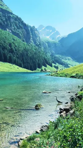 📍Seealpsee, Wasserauen AI 🇨🇭#nature #Hiking #switzerland #sea #mountain 