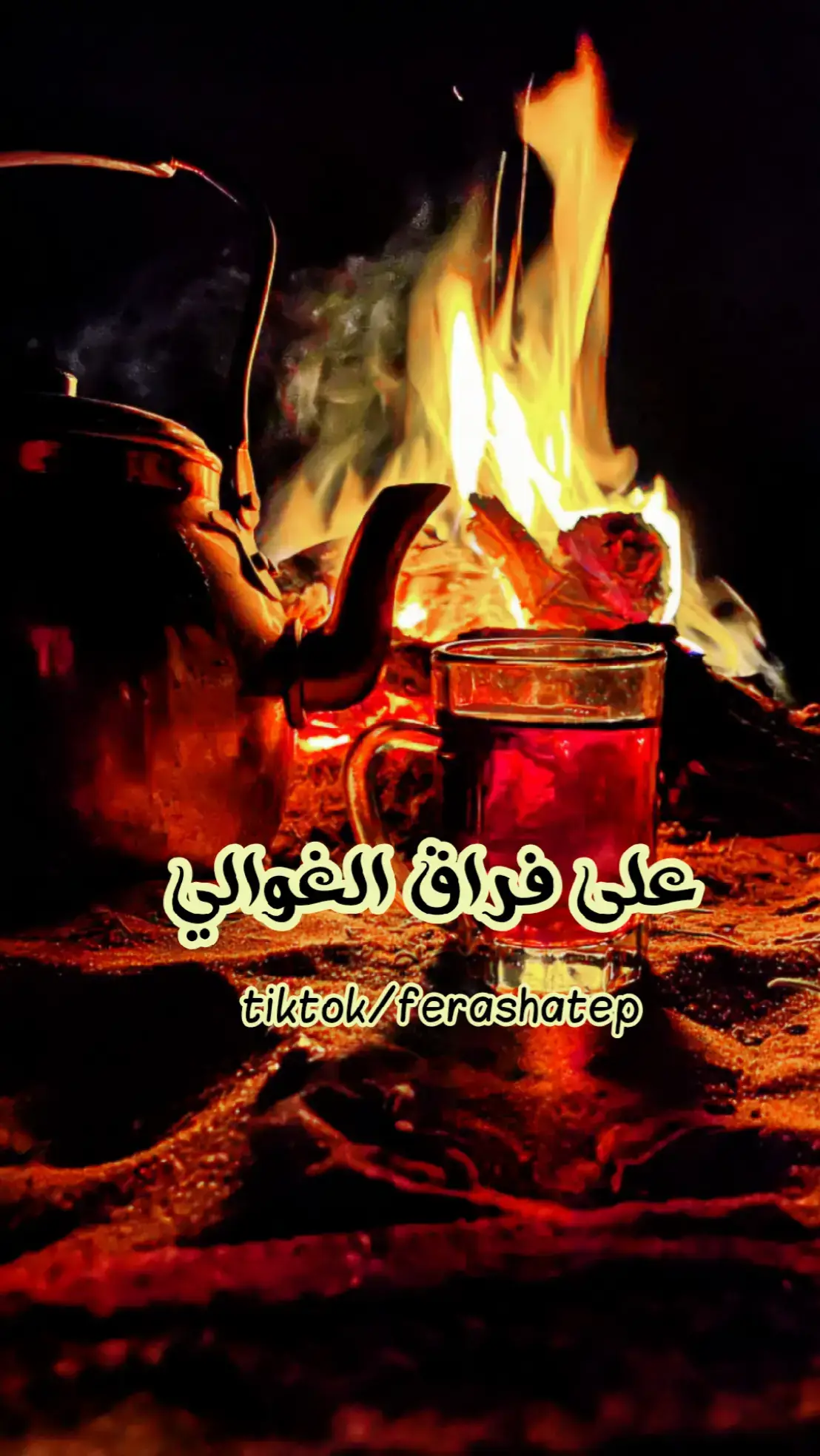 #على_فراق_الغوالي #ستوريات #فراس_أبومحمد #مجرد________ذووووووق🎶🎵💞 